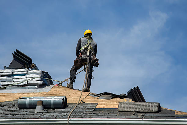 Professional Gutter Installation technician working in Williamson, GA
